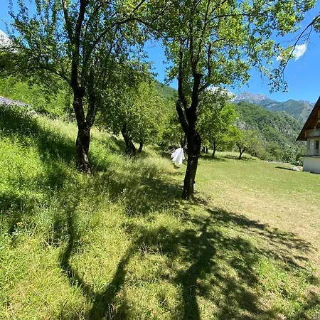 Belinis Vendégház *