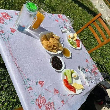Guest house Belinis