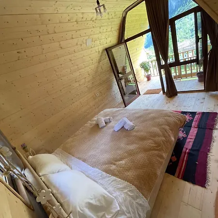 Guest house Belinis