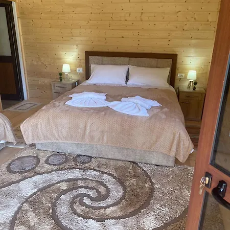 Guest house Belinis *